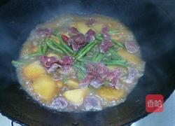 土豆豆角炖牛肉的做法图解8