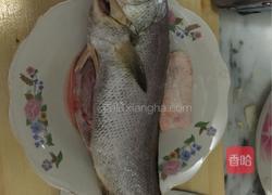 红烧大米鱼的做法图解1