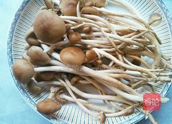新鲜茶树菇小炒的做法图解1