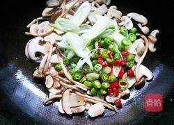 油浸菌菇的做法图解4