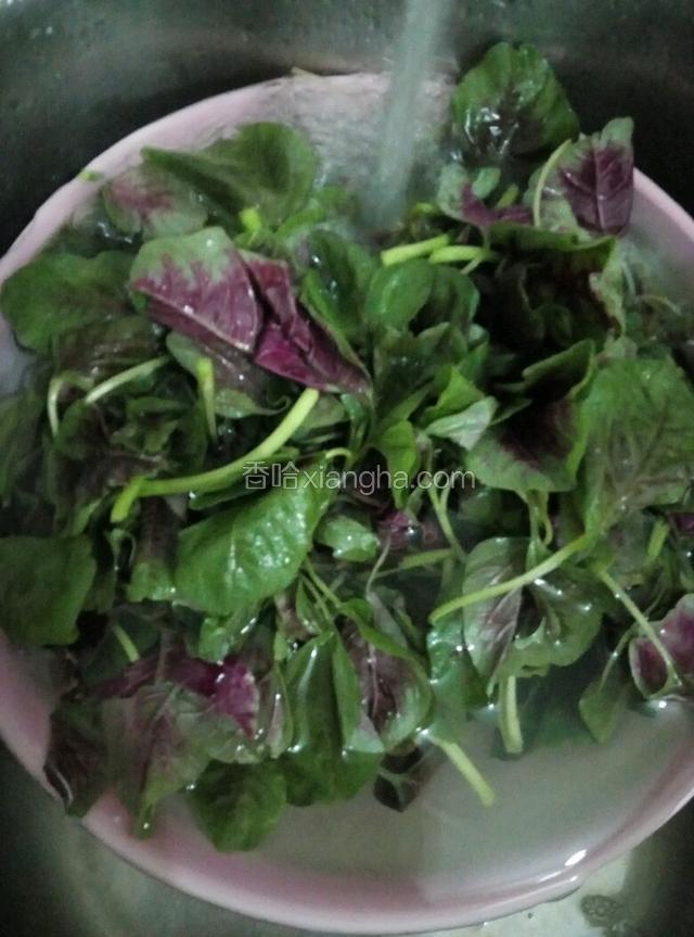 新鲜苋菜，用清水冲水洗净备用