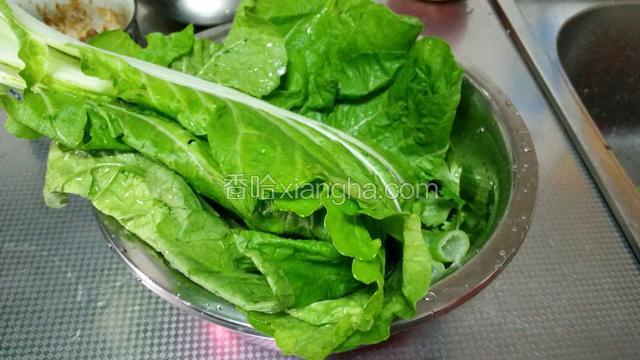 白菜洗净