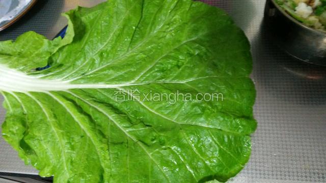 白菜叶铺开