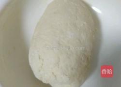 韭菜鸡蛋虾仁饺子的做法图解8