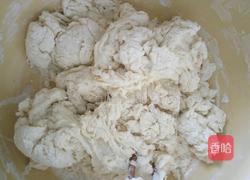 马齿苋肉包的做法图解3