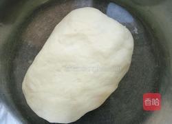 马齿苋肉包的做法图解4