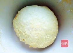 南瓜面包(面粉版)的做法图解7