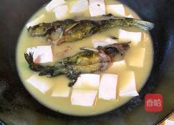 黄骨鱼炖豆腐的做法图解6
