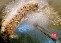 黑鱼红枣南瓜汤的做法图解7