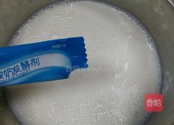 DIY酸奶的做法图解4