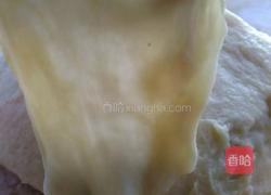 蜂蜜小餐包的做法图解8