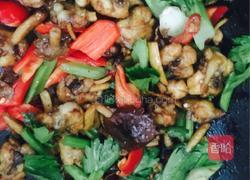 茶树菇干锅鸡的做法图解10