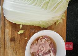 白菜炒肉的做法图解1