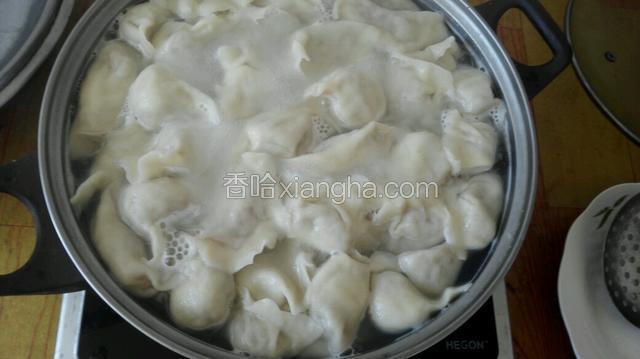 锅内坐水，水开后下入饺子，开锅后放半碗凉水，再次开锅后煮五分钟就好了。