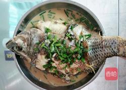 焖福寿鱼的做法图解3