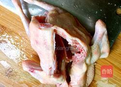 鸽子红枣汤的做法图解1