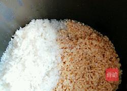 糙米饭的做法图解5