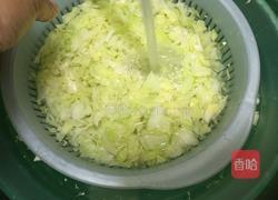 清淡口味菜肉蒸餃的做法图解1