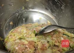 清淡口味菜肉蒸餃的做法图解3