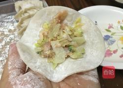 清淡口味菜肉蒸餃的做法图解4