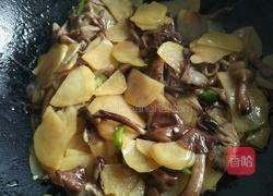 榛蘑炒土豆片的做法图解10