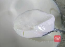 酸奶木瓜的做法图解3