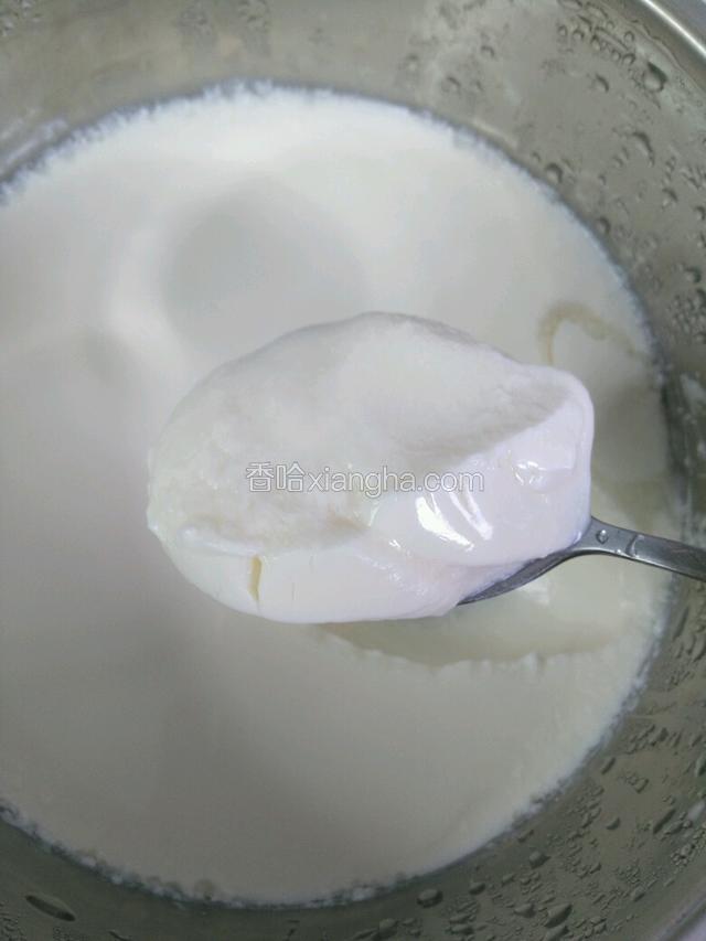 做好的酸奶像嫩豆腐一样