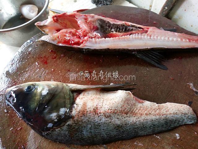 花椒去鱼鳞，顺着鱼骨对半剖开，把鱼鳃黑膜都去除干净，鱼头和鱼尾剁掉分开，再把鱼骨剔出来，最后把鱼肉用快刀斜片成薄鱼片即可！