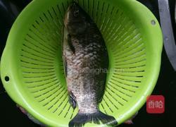 枸杞鲫鱼汤的做法图解1