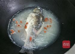 枸杞鲫鱼汤的做法图解6
