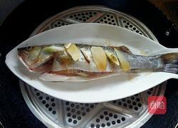 清蒸海鲈鱼的做法图解4