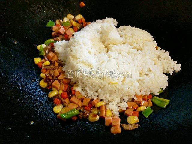 再加一碗剩米饭，转中火炒散，再调入适量盐炒匀。