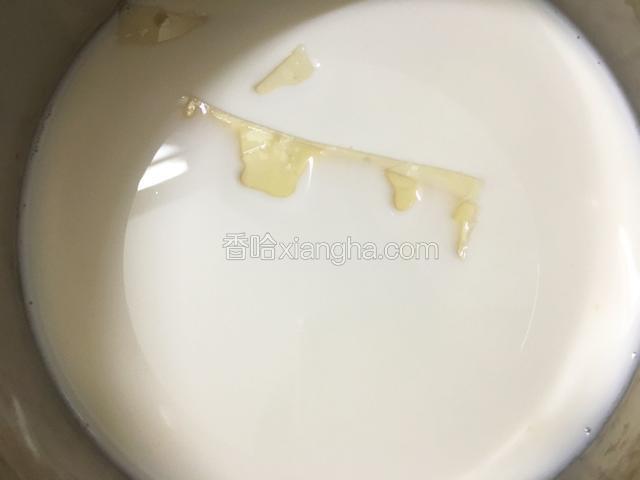 再放入两片吉利丁片