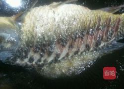 清炖鱼的做法图解2