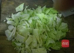 辣炒圆白菜的做法图解2