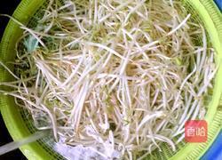 韭菜豆芽的做法图解1