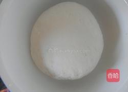 胡萝卜叶素包子的做法图解1