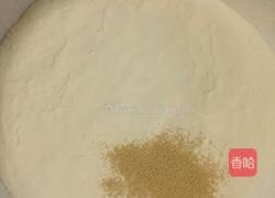 卷子的做法图解1