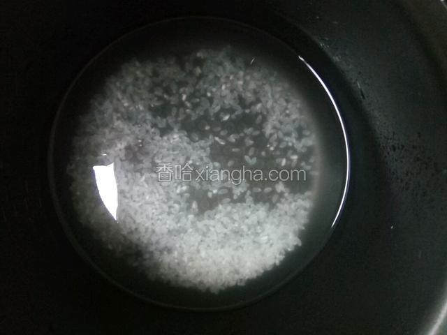 淘洗干净加水