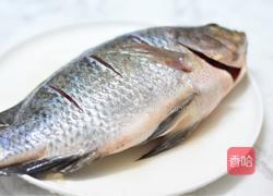 番茄炖鱼的做法图解1