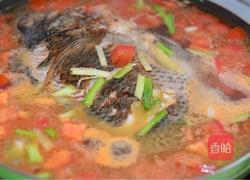 番茄炖鱼的做法图解4