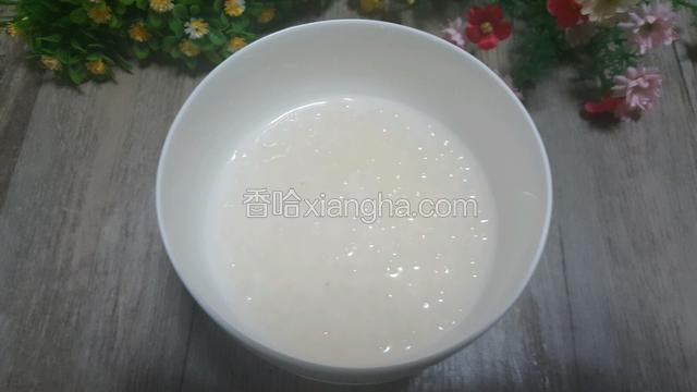 这是煮好的西米还不错！