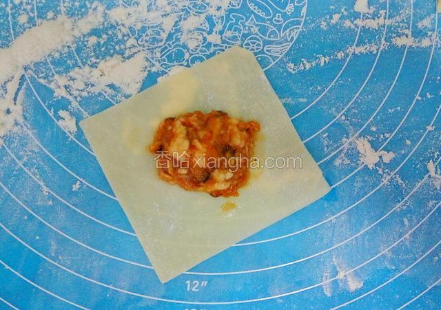一张馄饨皮放适量的馅儿