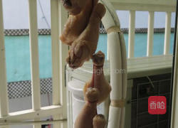 脆皮鸡的做法图解6