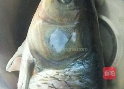 鱼头豆腐煲的做法图解1