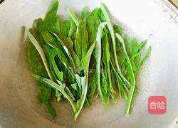 凉拌苦苦菜的做法图解2
