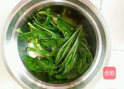凉拌苦苦菜的做法图解3