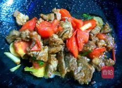 番茄牛肉的做法图解7