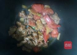 番茄牛肉的做法图解8
