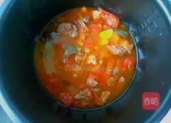 番茄牛肉的做法图解12